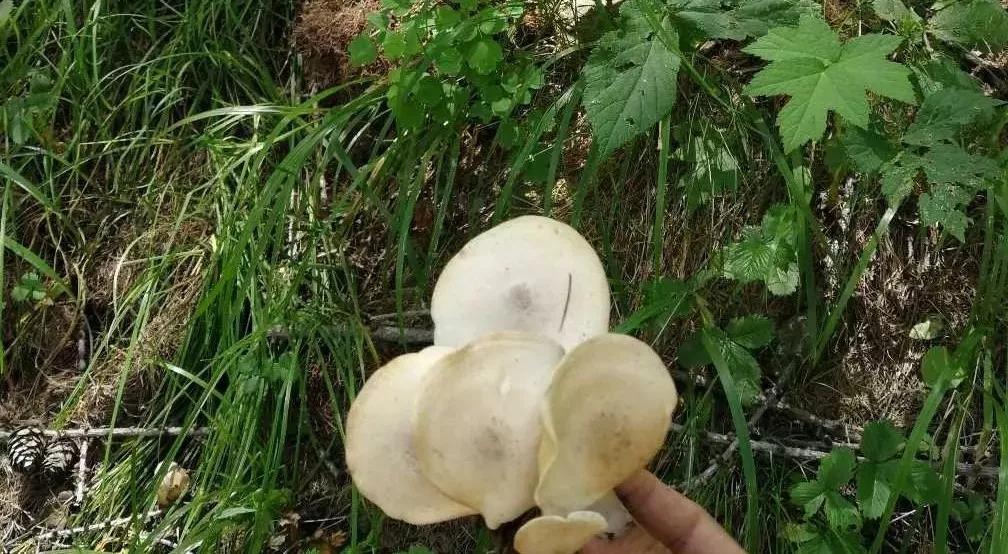 去五台山10大忠告,去五台山不需要任何理由