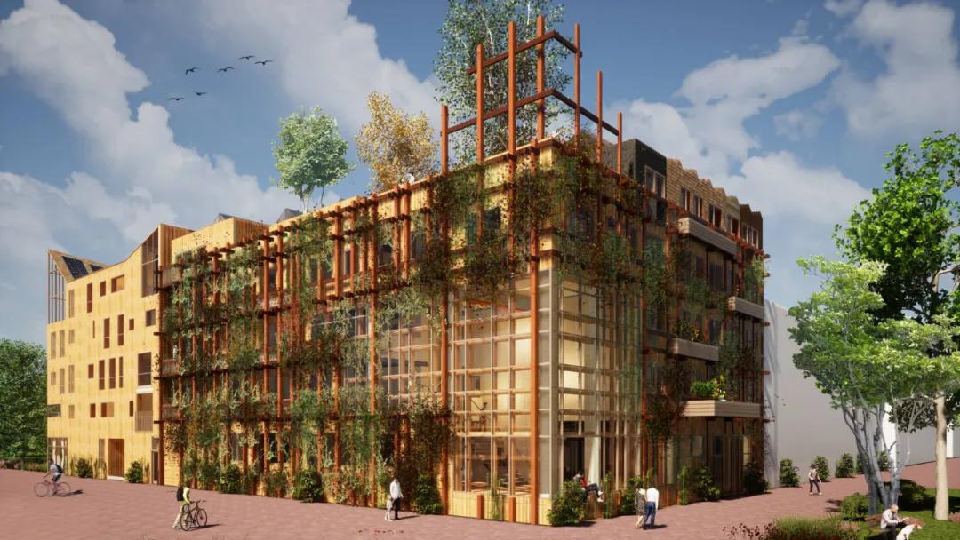 在荷兰买新建的房子贵吗,在荷兰买房的真实感受