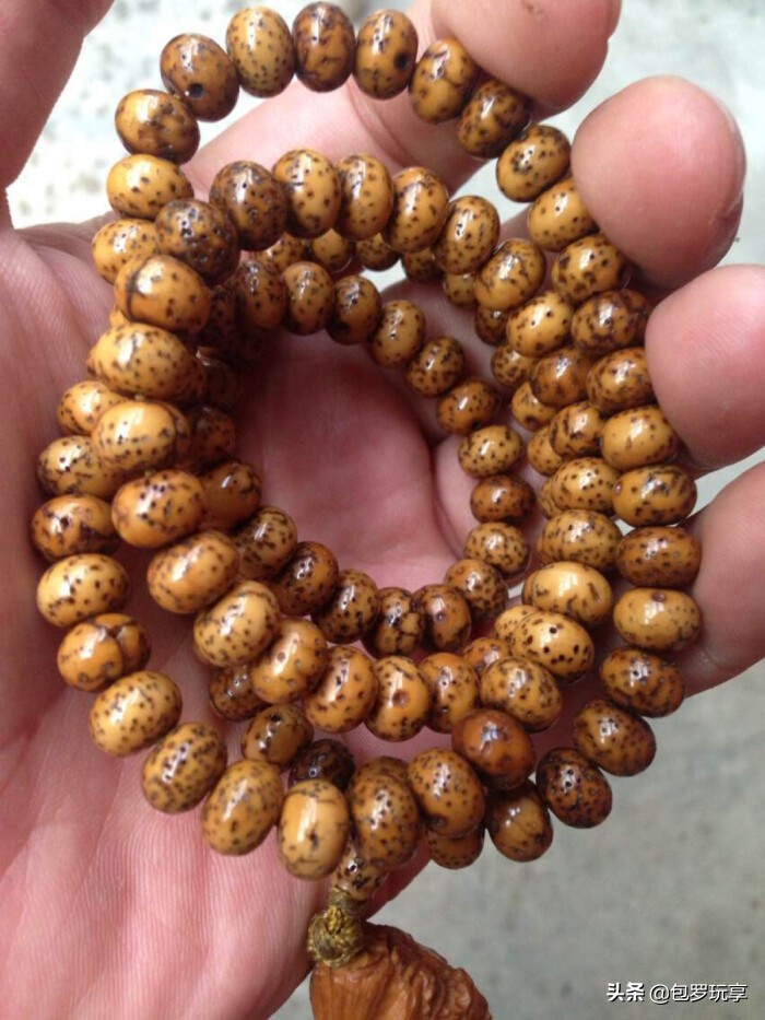 星月需要打乱吗,星月急救