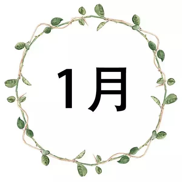 一年12个月的应季水果,1-12月应季蔬菜水果表