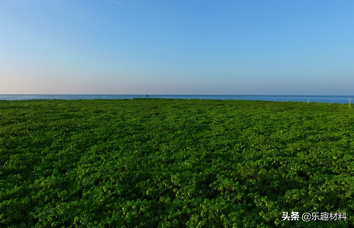 三大变化,西沙竟有这么漂亮的渔村,赵述岛这“翻身仗”打得漂亮