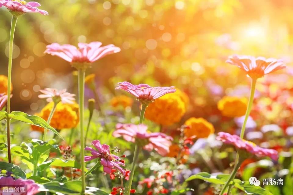 担心做胃肠镜会被感染？来看看内镜是怎么消毒的