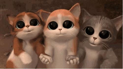 培训机构收单话术,教育机构收单方案