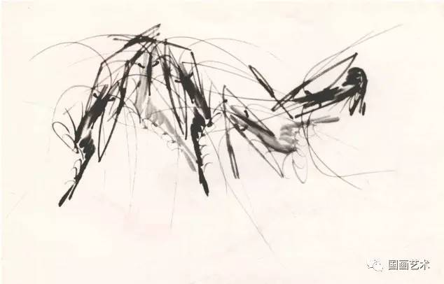 国画用胶矾水画虾技法,娄师白画虾技法视频