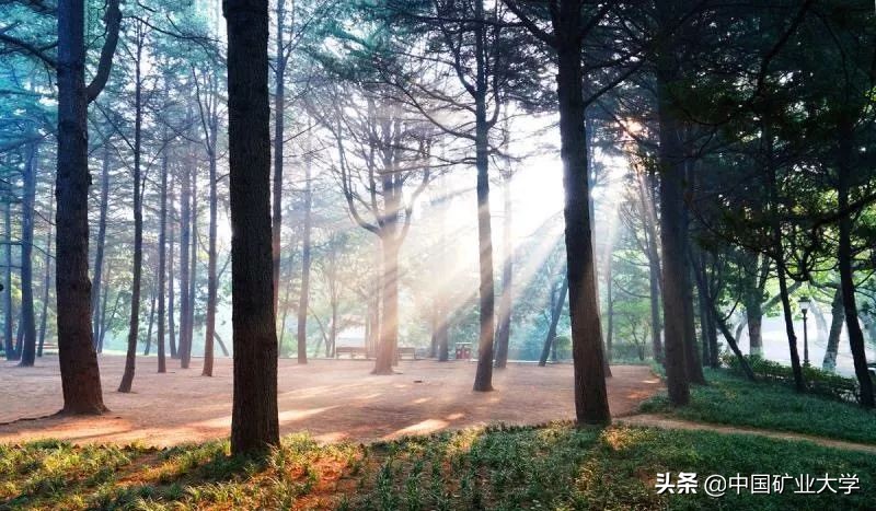 我不要我觉得我要你觉得,我不要我觉得我要你觉得是什么梗