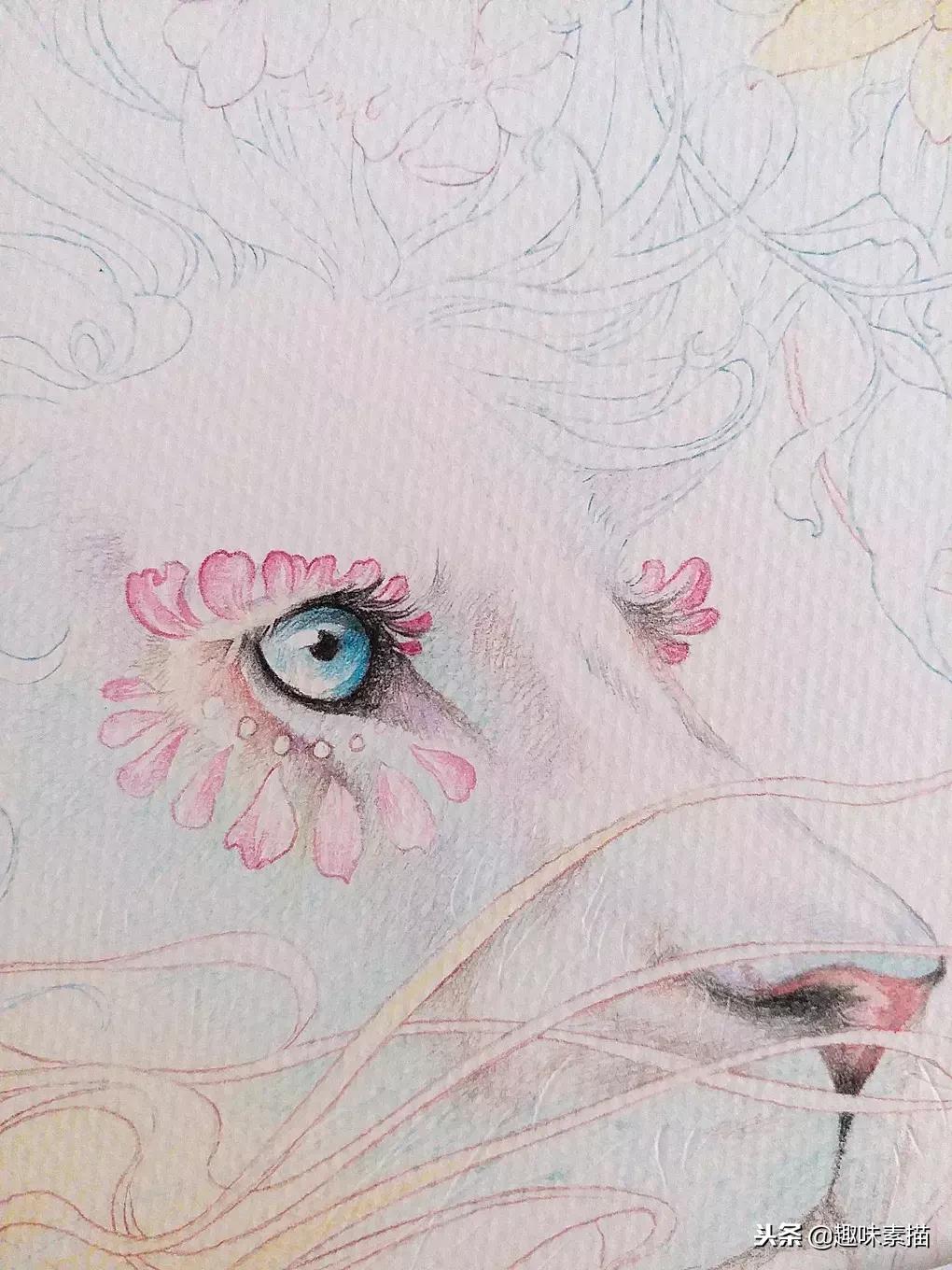 超精细彩铅人像素描,简单又漂亮的彩铅插画