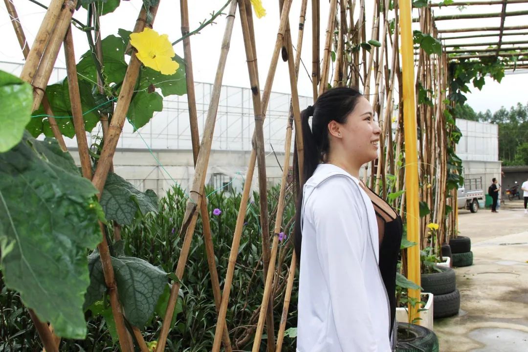 钟山水墨田园山水画廊,钟山水墨画廊要门票吗