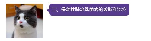 怎样确诊肺部真菌感染,侵袭性肺真菌病的确诊标准有哪些