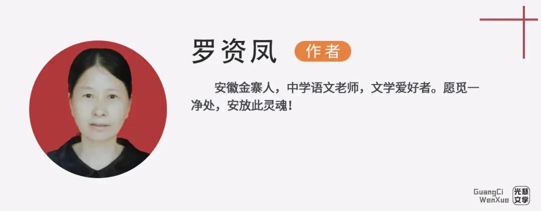 描写茉莉的散文随笔,悠悠艾草香散文原文