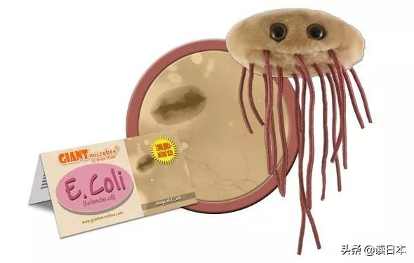 “*体器人官**”挂件或成为日本最新潮流？网友：我的钱包又要哭了