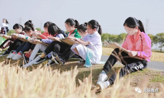 翻地、播种…无锡老小将课堂搬到了田间地头