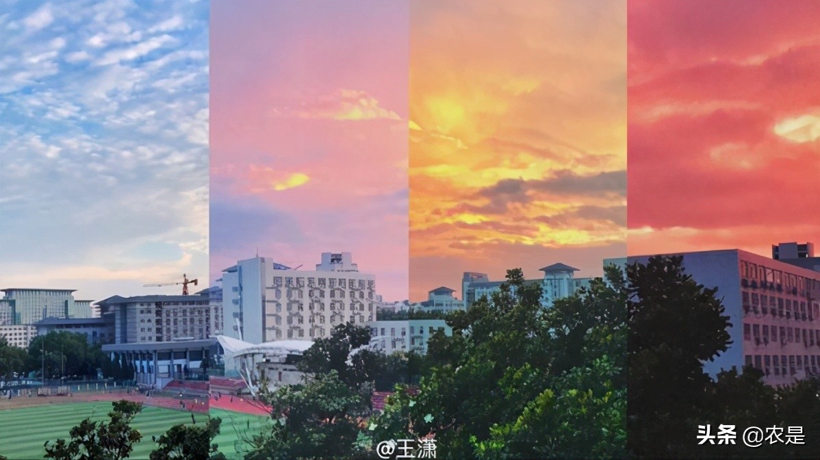 杭苏琴（女），南京农业大学教授、博导，动物遗传育种、饲料专家