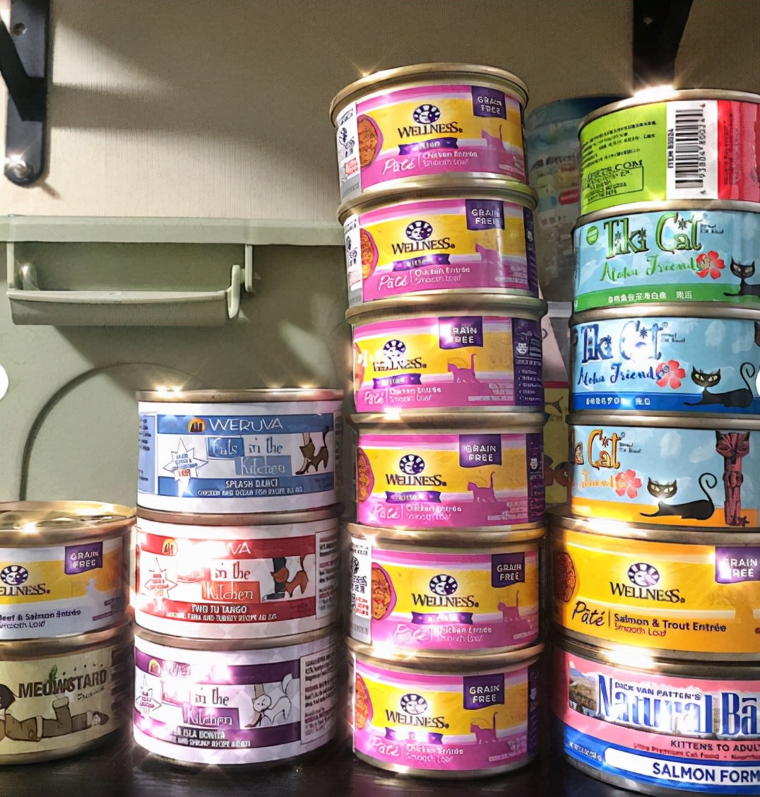 猫罐头排行榜前十名推荐,猫罐头十大品牌排行榜幼猫