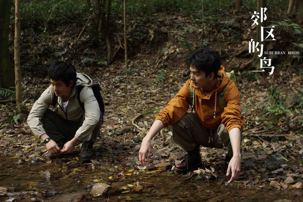 光头可以带来好运吗,光头可以拯救票房吗