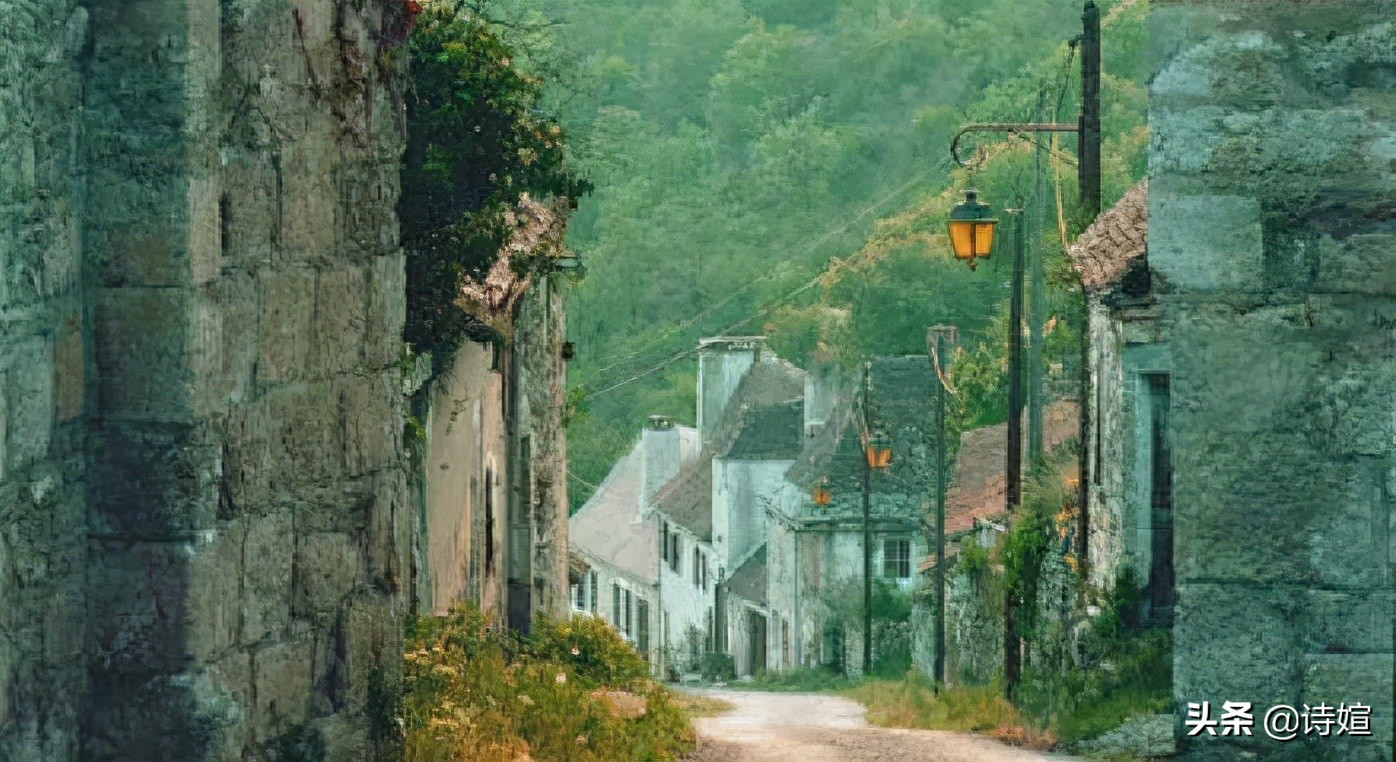 阿楚|眷恋的年华，却只是短暂狂欢