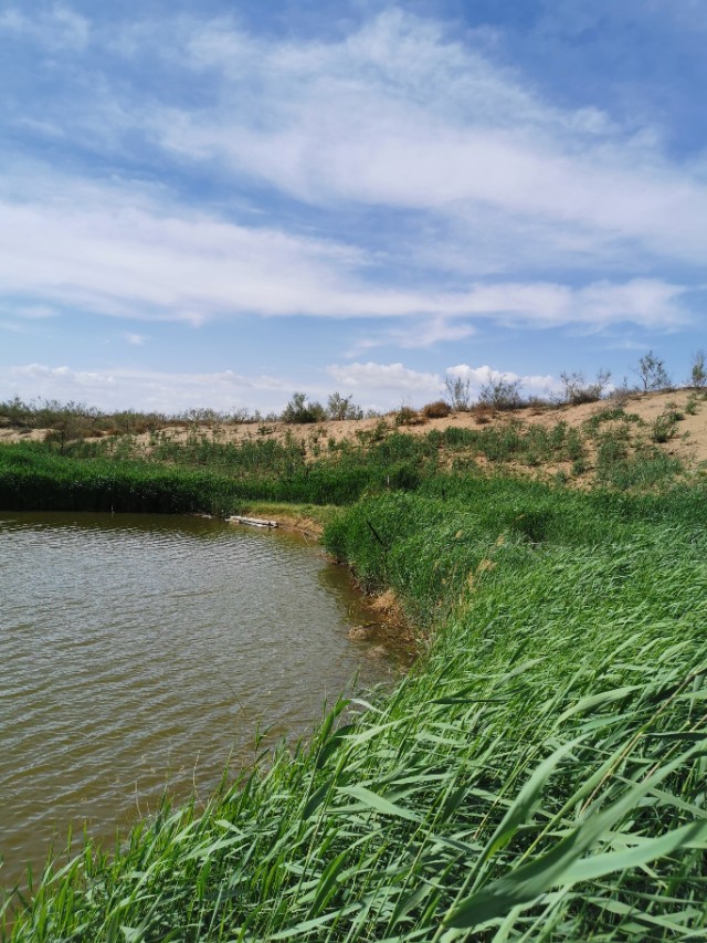 沙漠地图有水的地方,原神沙漠有水的遗迹