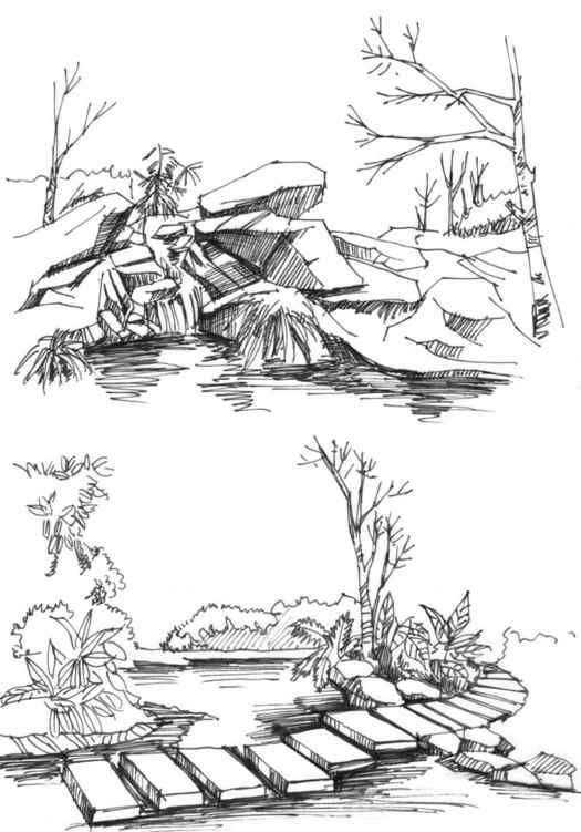 速写风景初学者入门教程,速写风景初学者入门教程植物