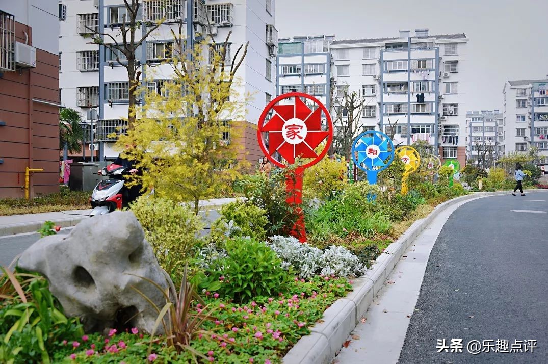 共同缔造美丽乡村先行区,共同缔造美丽家园短视频