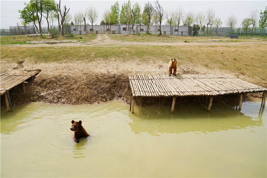 我和宿州有个约会,一场花事,一次慢旅行,探寻最烟火的宿州味道