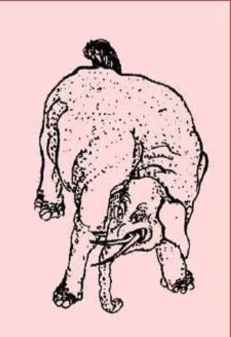 山海经中关于长白山的记载,祷过山