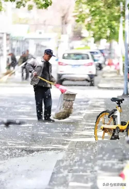 杨树飞絮过敏怎么治,杨柳飞絮过敏怎么防治