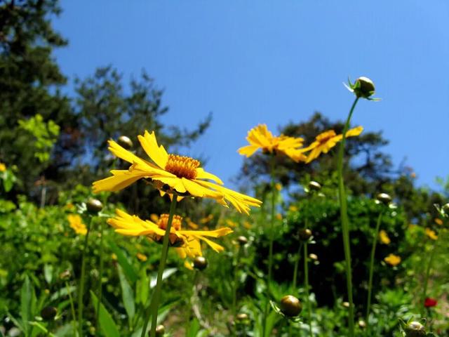 如何调整好自己的心态赵玉平,如何调整好自己的心态搞好军训