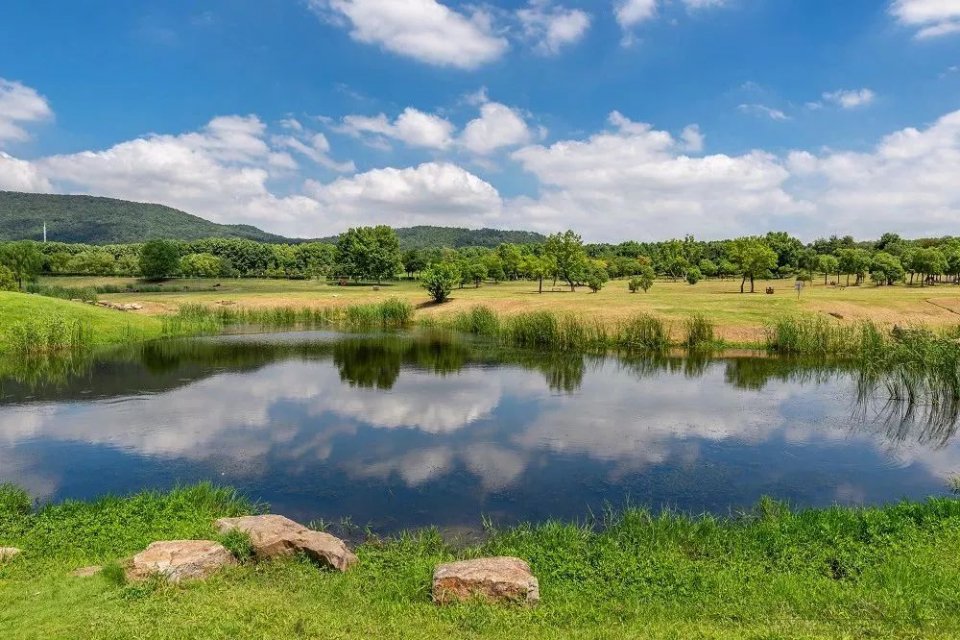 南京免费的公园,太全了