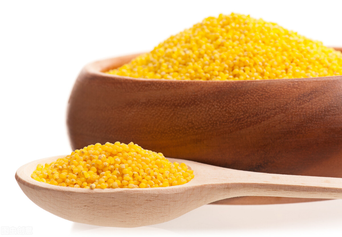 怎样储藏小米才不生虫,怎样贮存小米不生虫