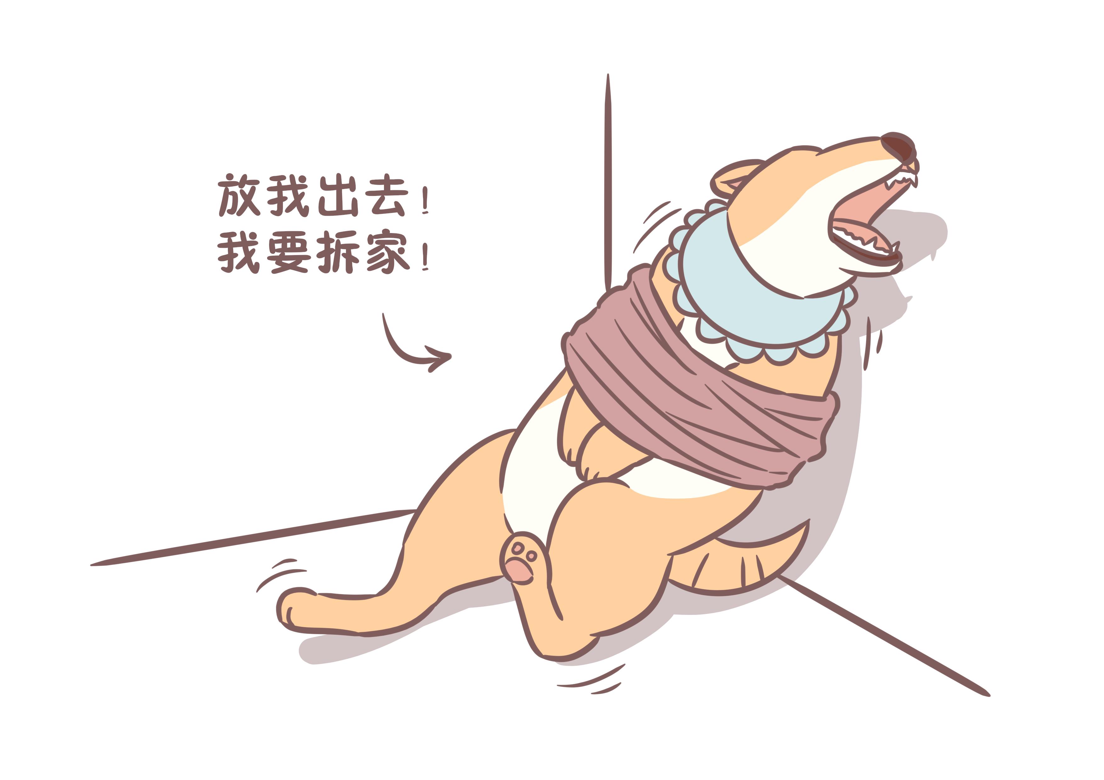 不要打别人的狗,不要乱打狗狗