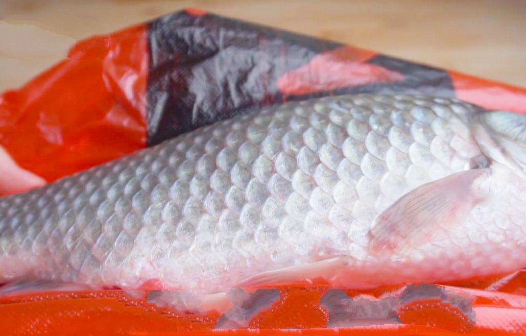 原来刮鱼鳞这么简单，多一个塑料袋，鱼鳞就不乱溅了，又快又干净