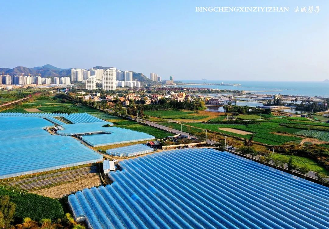 海南乐东九所康养度假村,海南乐东九所康养基地有哪些