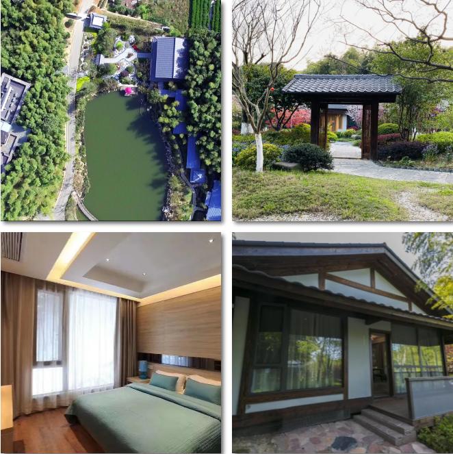 上新｜泡泡屋、树屋、竹苑，刷爆朋友圈的美宿又来了