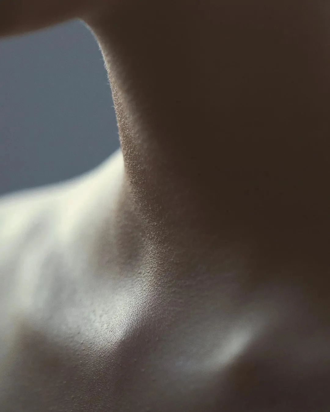 这些情而不色的「局部特写」,也太高级了吧