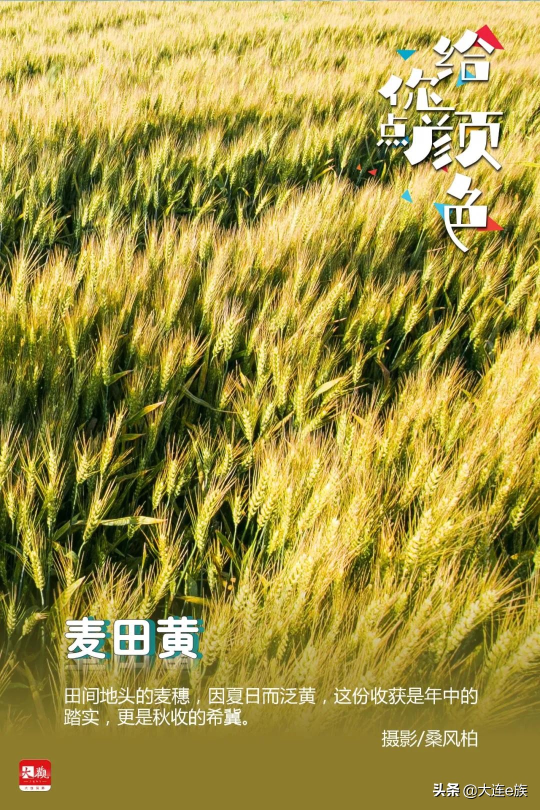 大连给车改色,大连色卡