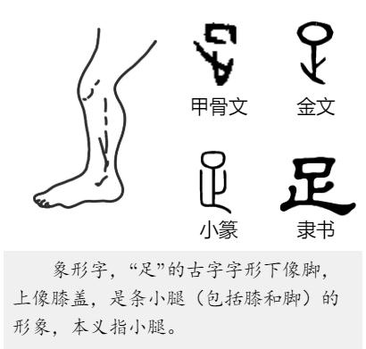 三年级上语文园地一语文教案,三年级语文上册课文大青树