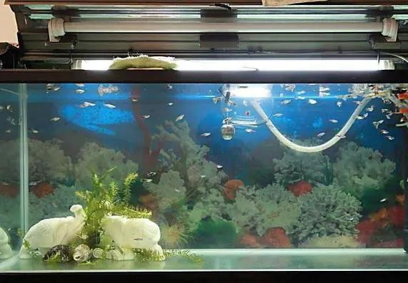 家里出现三个征兆必定福气自来,出现这4种风水征兆预示家有喜事