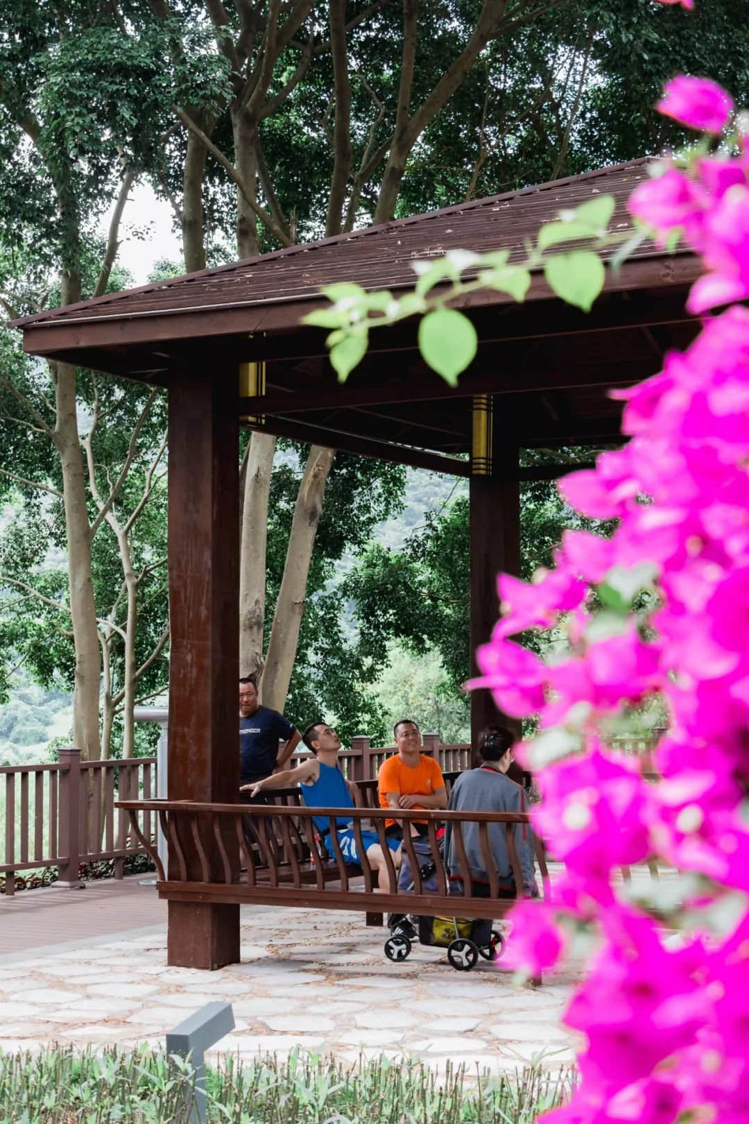 又发现深圳一个“绝美打卡地”!“淘金”绿道,人少免费