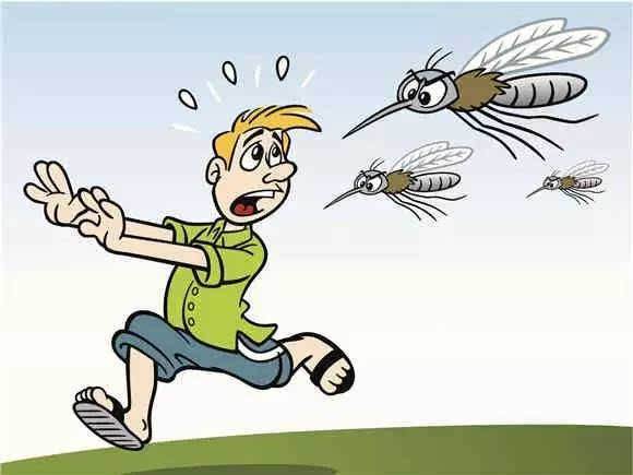 蚊子是怎样吸食你血液的,蚊子吸了我们的血后会发生什么