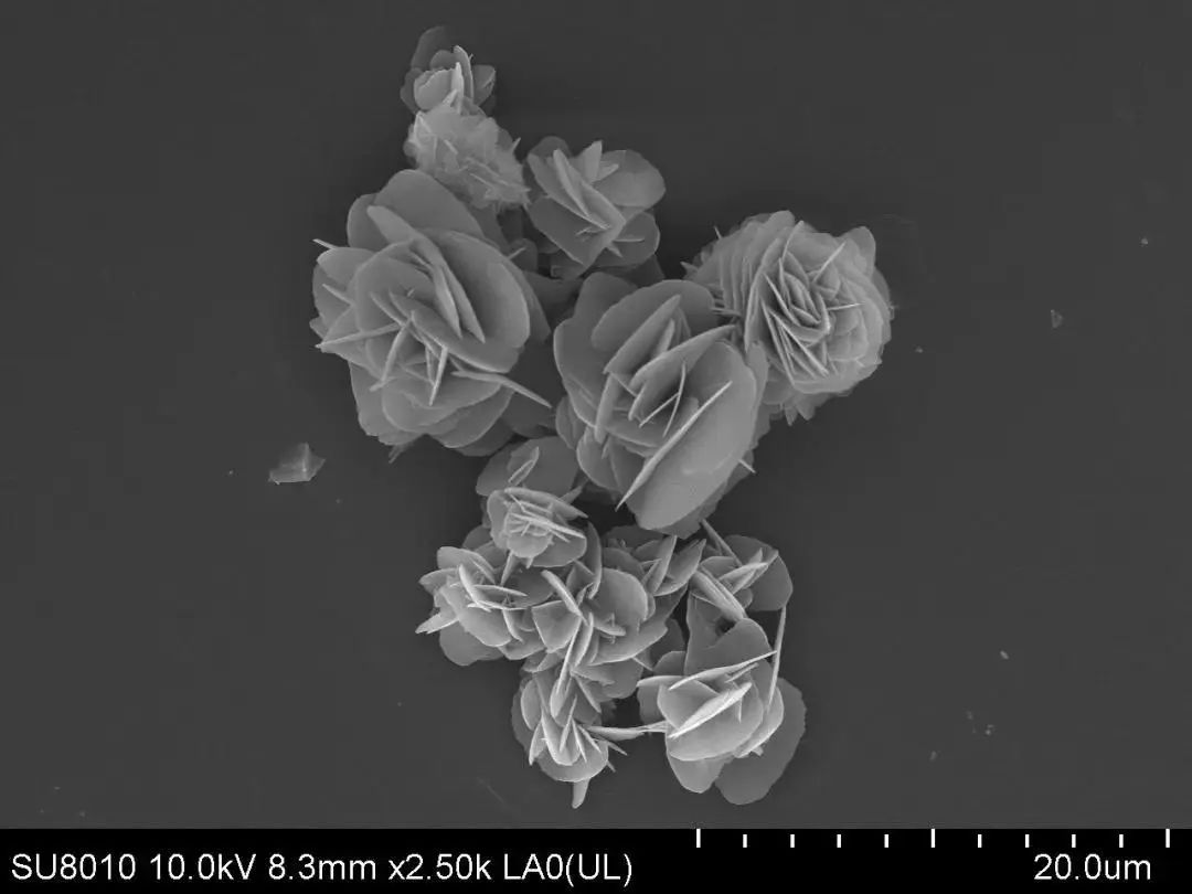 绉戠爺澹佺焊,绉戠爺浜虹殑鏂板勾澹佺焊