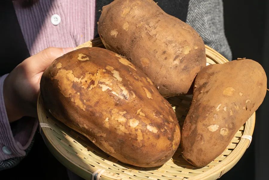 10种你想不到的水果,8种你从未听说过的最独特的水果