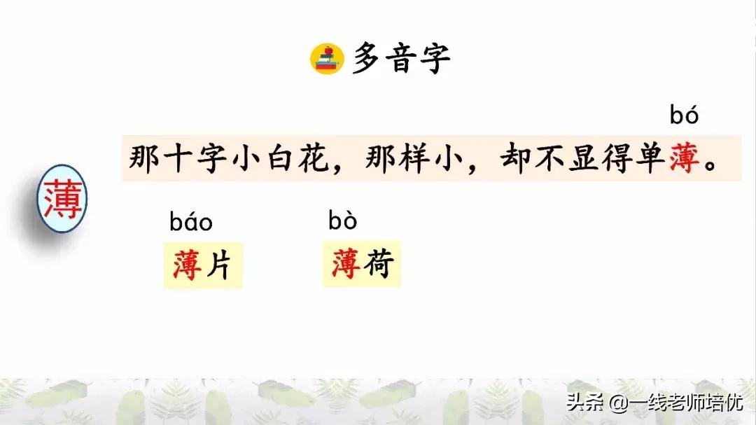六年级上册第二课丁香结知识点,部编版六年级上册语文丁香结预习