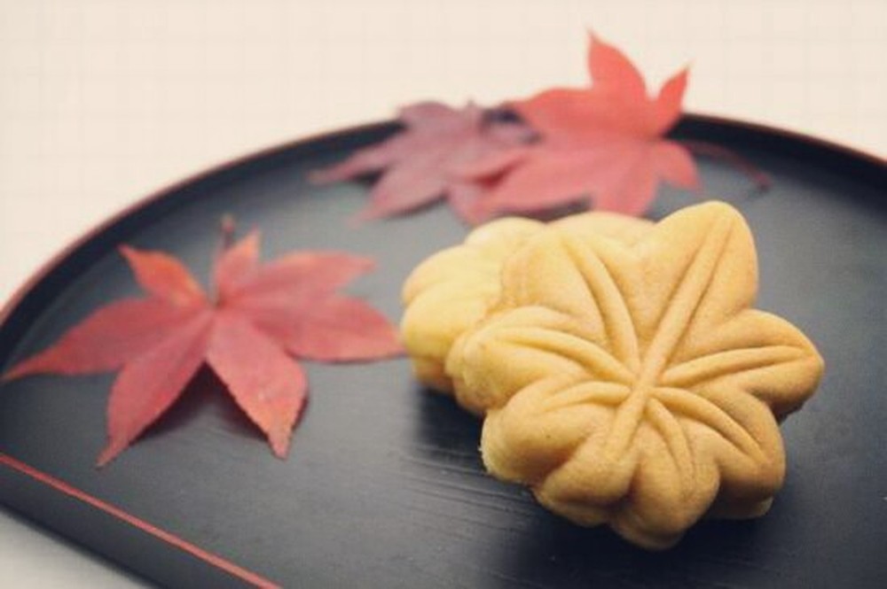 广岛县现状实拍,广岛现状的视频