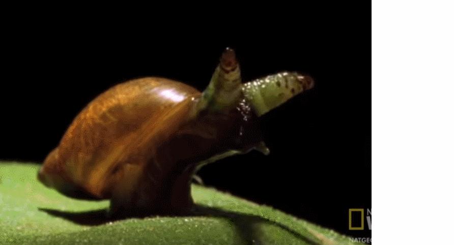 寄生兽的最终目的,寄生兽告诉我们的道理