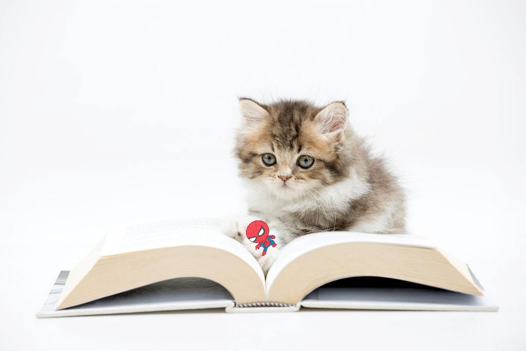 小学语文必会基础知识关联词,小学语文常考关联词专项练习