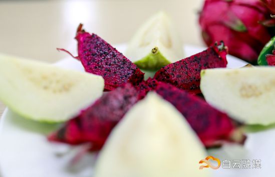 走在乡间小路观赏田园风光体验,看田园风景品乡间生活尝农家美食