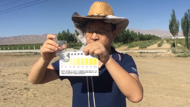 一只蜜蜂每天要多少蜜,一只蜜蜂一天可以采多少蜂蜜