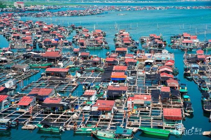 三亚南湾猴山岛,三亚南湾猴岛好玩的地方