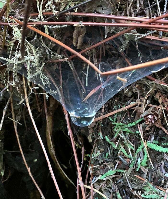 最神奇的头发图片,最美变色头发女孩照片大全