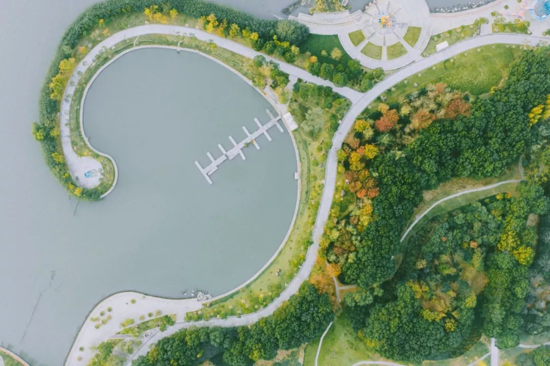 你一定没见过这样的新中式,东方绿舟特点