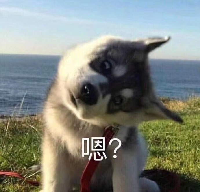 沙雕群聊昵称5人,沙雕群聊昵称富婆